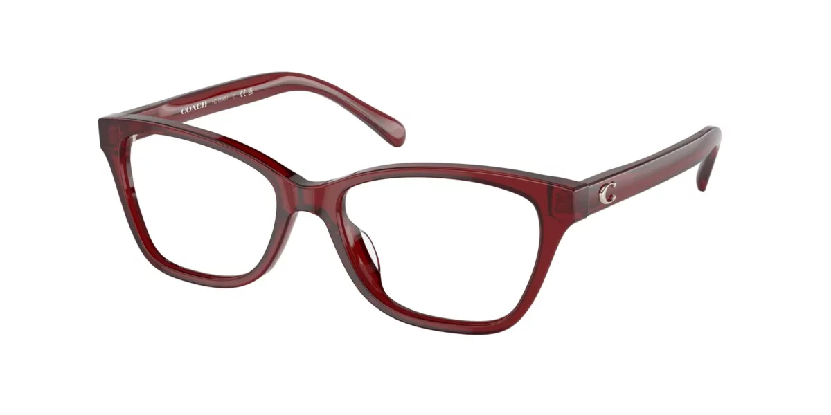 Coach HC6196U 5713 Transparent Red