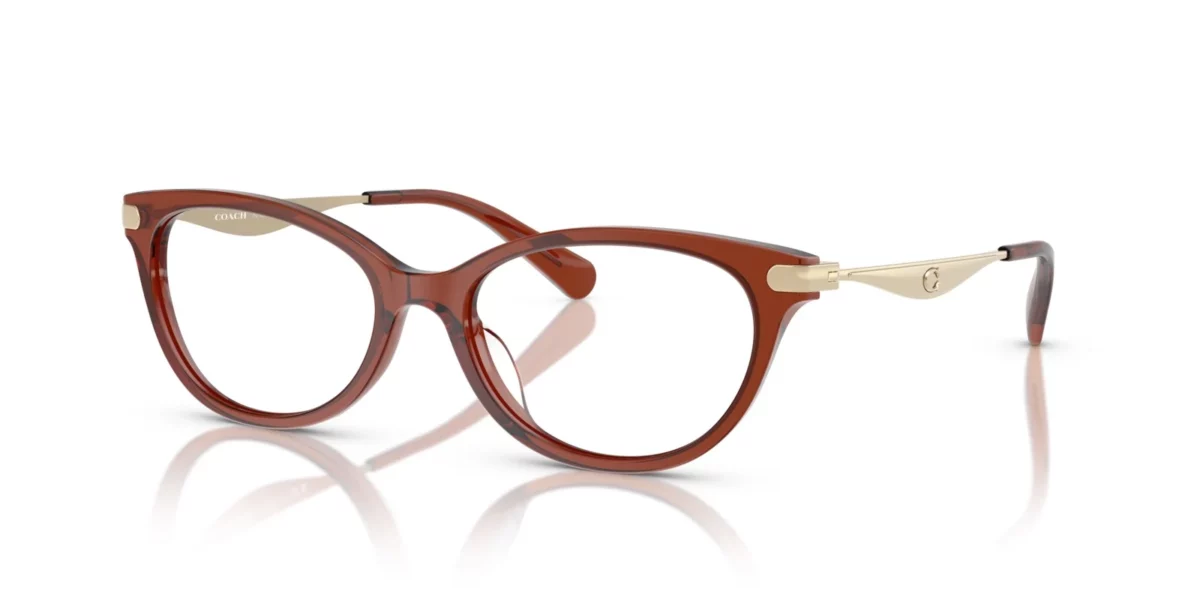 Coach HC6245U 5847 - Transparent Brown